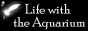 Life with the Aquarium