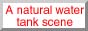 A natural water tank scene