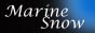 MarineSnow